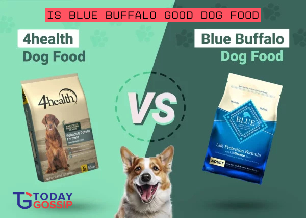 is blue buffalo good dog food