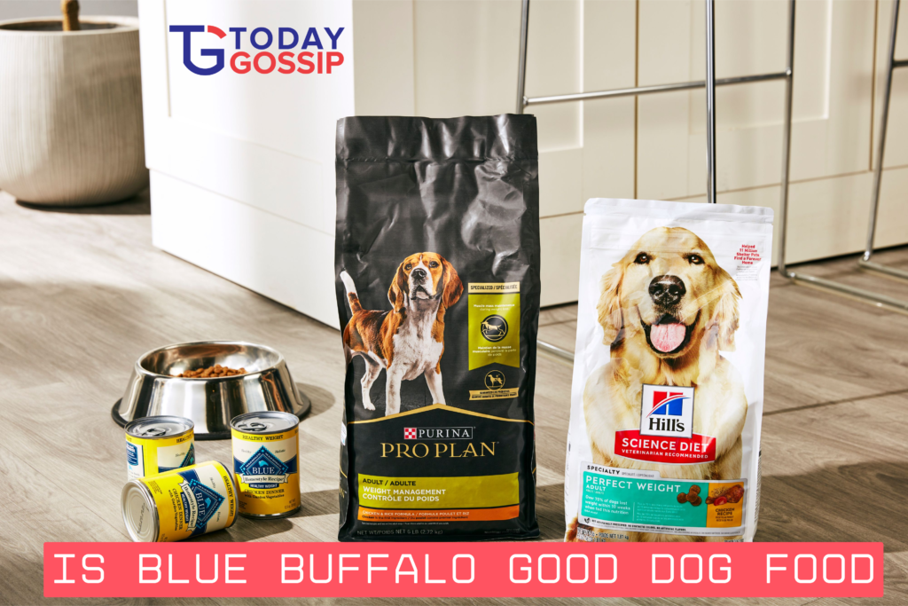 is blue buffalo good dog food