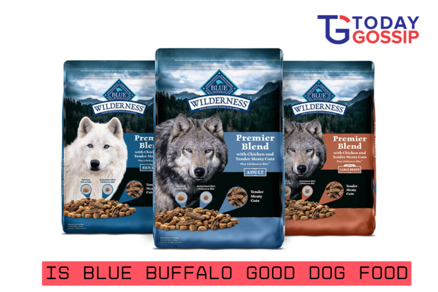 is blue buffalo good dog food