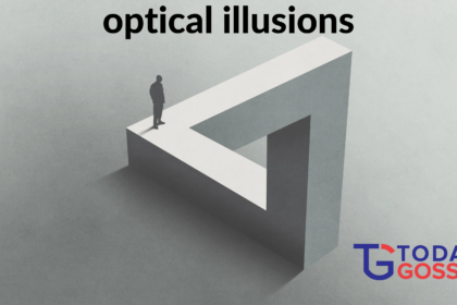 optical illusions gif