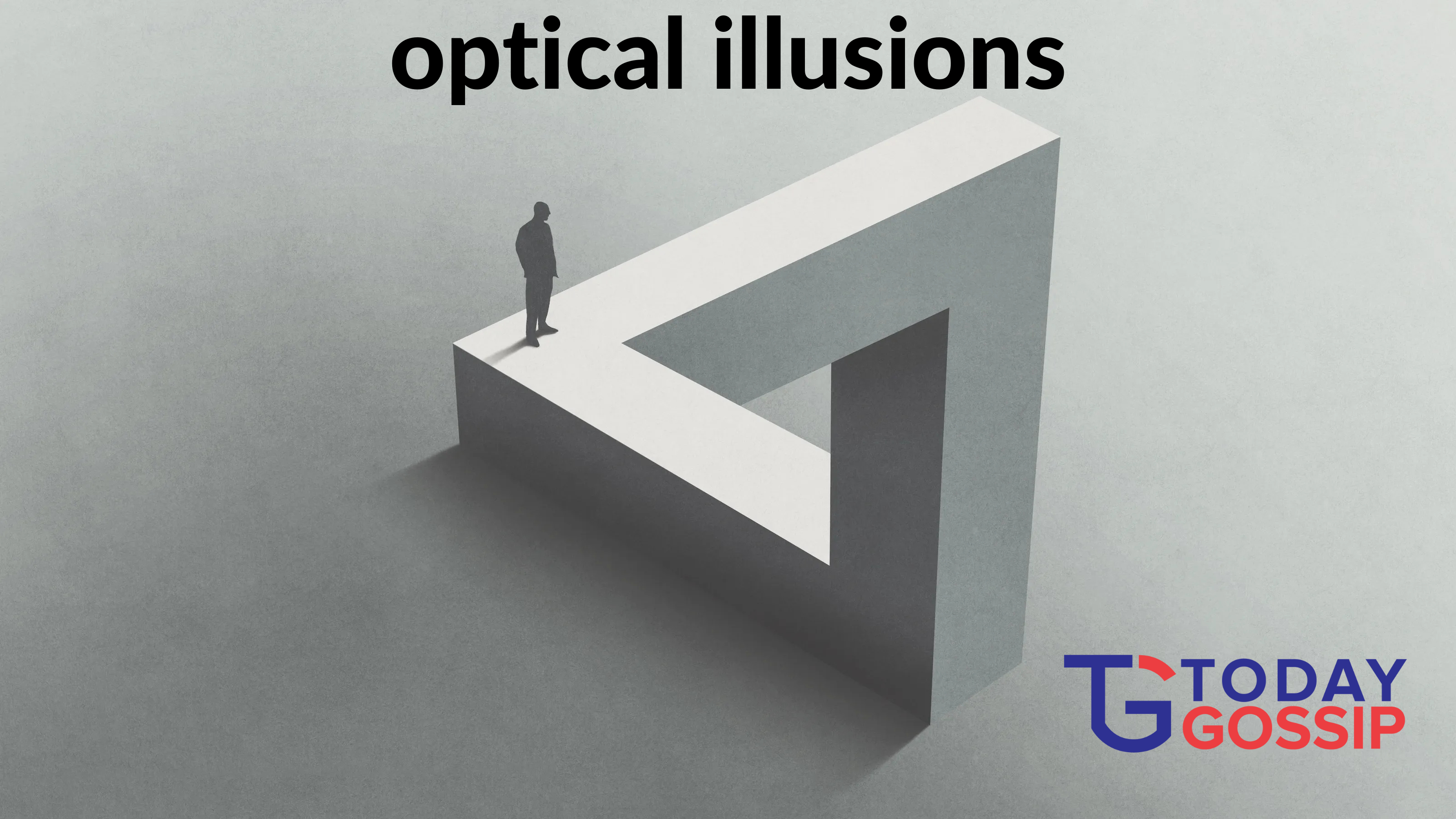 optical illusions gif