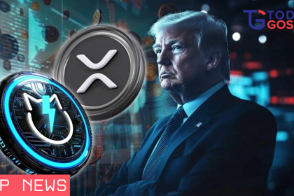 xrp news